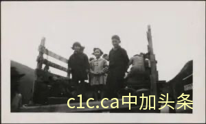 收藏｜首次重磅揭秘加拿大集中营制度！不可忘却的记忆